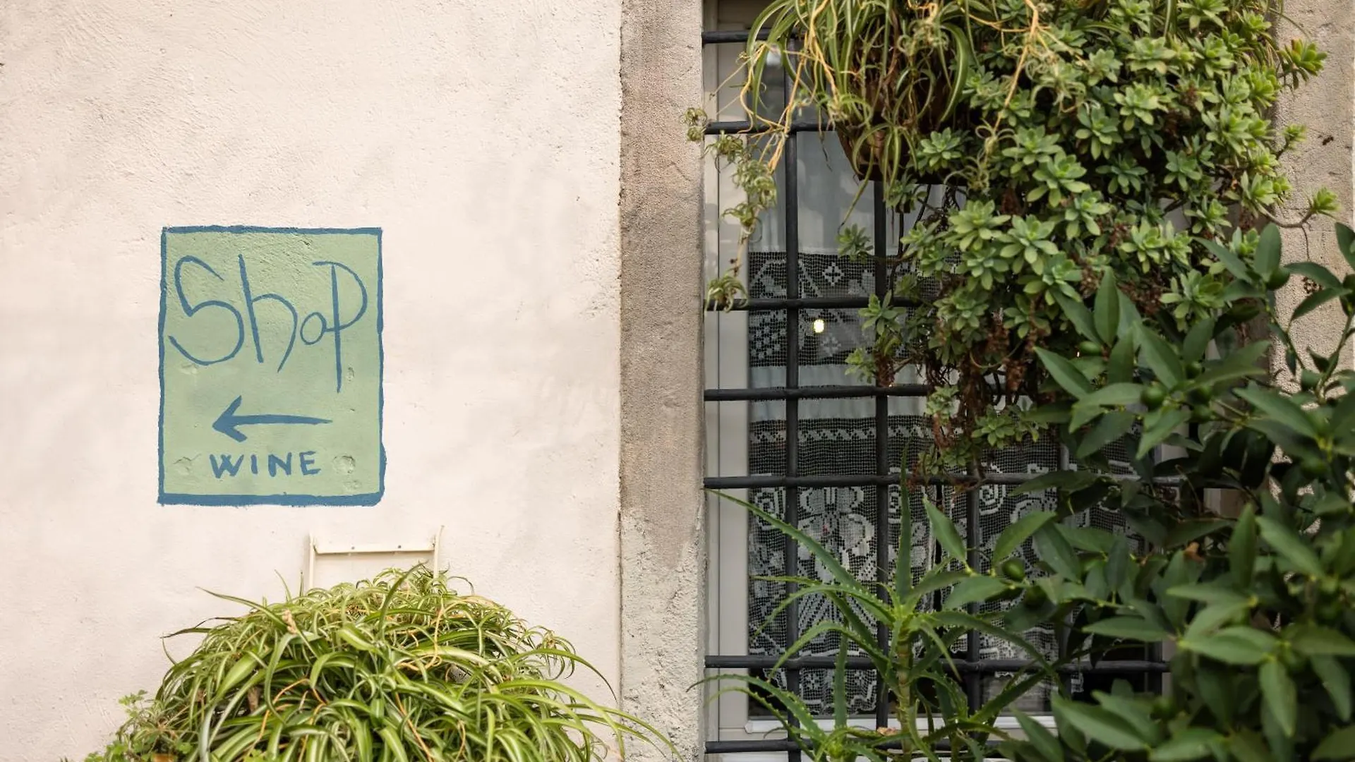 مونزامبانو B&B Corte Del Mincio